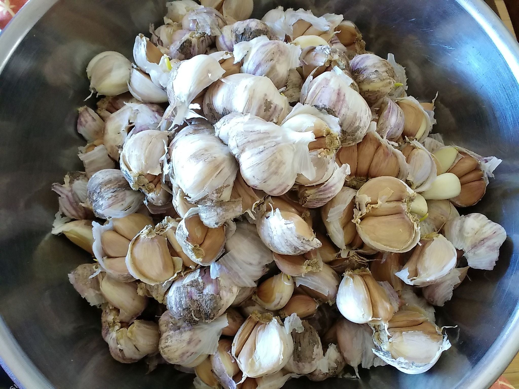Garlic Mustard - Atlantic Mustard Mill
